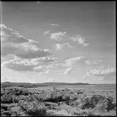Vid Torneälvens strand.