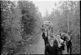 Ett stort antal personer på väg upp till Luppioberget mellan Hedenäset och Övertorneå.