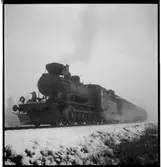 Persontåg draget av ånglok med vedeldning.