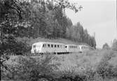 Rälsbusståg på linjen.