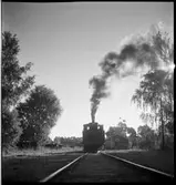 Ånglok på bangård.