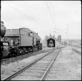 John Lindstedt och Stig Fagerström växlar in beredskapslok i stallet i Selsjön.