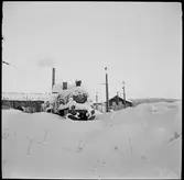 Ånglok vid lokstallet i Långsele.