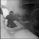 Sotning av ånglok, asklådan tömms på aska.