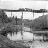 Lokalgodståg draget av SJ T21 på bron över Röån, på sträckan mellan Gåreleselet och Tågsjöberg.