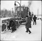 Vingplogen görs i ordning för transport .