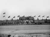 Markaryd station vid invigning av Vittsjö - Markaryd år 1892.
Helsingborg - Hässleholms Järnväg, HHJ G 343.