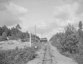 Grusgropen från söder.