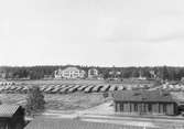 Hammarby sulfitfabrik