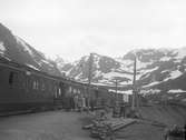 Myrdal station