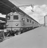 Statens Järnvägar, SJ F 623 med tåg.