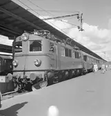 Statens Järnvägar, SJ F 623 med tåg.