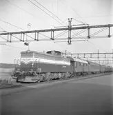 Statens Järnvägar, SJ T43 214 med tåg.