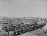 Lokparaden
Lok 1, 21, 29, 52, 74.