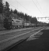 BJ Ds 210 med godståg.
BJ , Bergslagernas Järnväg