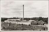 Ljusnes Boardfabrik.