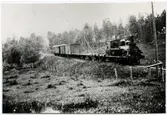 Askersund - Skyllberg - Lerbäcks Järnväg, ASLJ lok 5.