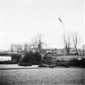 Vänersborg. Julgransförsäljning på Fisktorget