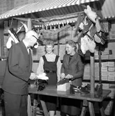 Skokompaniet jubilerar.
December 1956.