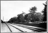 Bergsbrunna stations bangård och plantering. Stationen öppnad 1866.