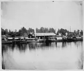 Tre ångbåtar i Bergviks hamn omkring 1880. Fartygen är från vänster S/S Kilhafors, S/S Warpen samt S/S Bergviken. Att S/S Warpen finns med på det här fotot indikerar att bilden är tagen efter 1879 eftersom fartyget trafikerade Edsänge - Bollnäs fram till det datumet.
Bergvikens station ligger strax till höger utanför bild.