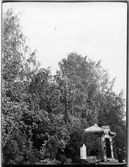 Björkbestånd vid Bergvik station Augusti.
Stationen anlades 1859. 
Nytt stationshus, envånings i trä, uppfördes 1946-47 ca 100 m väster om den smalspåriga banans stationshus.