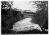 Rakkarjokk
Fjällbäck i närheten av Björkliden station juli 1911.