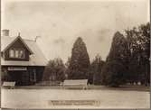 Boden Central. Stationsplantering. Formbeskuren Balsampoppel.  Fotografiet troligtvis taget av trädgårdsdirektör Enok Cederholm på 1920 talet.