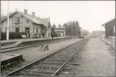 Vi vid Dalskog. Stationen fanns redan från 1879. En- och enhalvvånings stationshus i trä. Trafikplats anlagd 1879. Nuvarande stationshus i två våningar uppfört 1943.