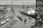 Gävle hamn år 1953.