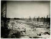 Första bilden av Dundret från järnvägen vid Luleå-Gällivare-banan under Engelsmännens tid på 1880-talet