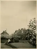 Skåne - Hallands Järnväg, SHJ