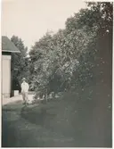 Trädgården en man fotograferad men inget namn.