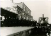 MLJ 3