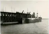 Fartyget Izgled SS vid malmlastningskajen