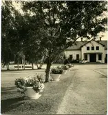 Luleå station.
100-tals prunkande blomsterurnor pryder stationerna.