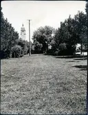 Park i Nässjö med stadshuset i bakgrunden.