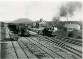 Stationshus, uthus och godsmagasin byggda 1904.  Lok 25 till höger.