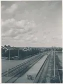 Statens Järnvägar, Sj boställshus tagit från en viadukt . Plantering 1915 synnerligt frodig och kraftig växt.