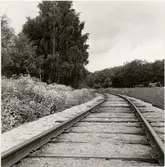 Kurvan mot Riddersvik. Spånga - Lövsta Järnväg. Bilden tagen under sommaren.