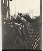 Plantering vid Kiruna station.