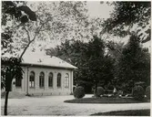 Mjölby station med plantering.