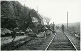 Bergraset på Bohusbanan strax söder om Skee järnvägsstation.