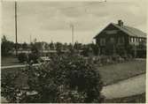 Stationsplanteringen på Skellefteå station.