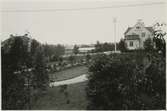 Planteringen vid Skellefteå station.