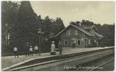 Resande på Älgarås station.