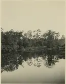 Parti av järnvägsparken taget från bron klockan 7 förmiddag.