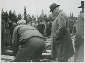 Sammanspikning av inlandsbanans sista skenor i september 1936.