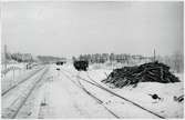 Vid Träskholm station.