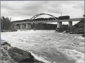 Godståg på bron över Skellefteälven på linjen mellan Karsbäcken och Kusfors.